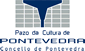 Pazo da Cultura